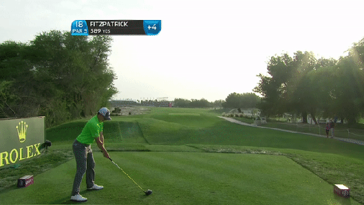 giphy-downsized-large