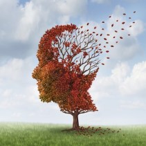 181157092_edited-575x576