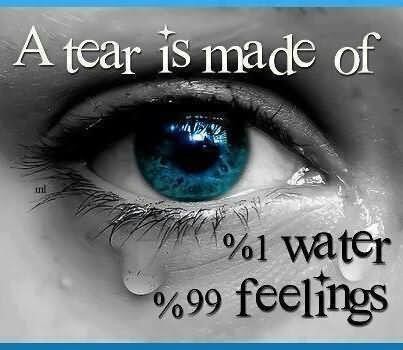 caring-quote_a-trear-is-made-of-1-water-99-feelings-560d3